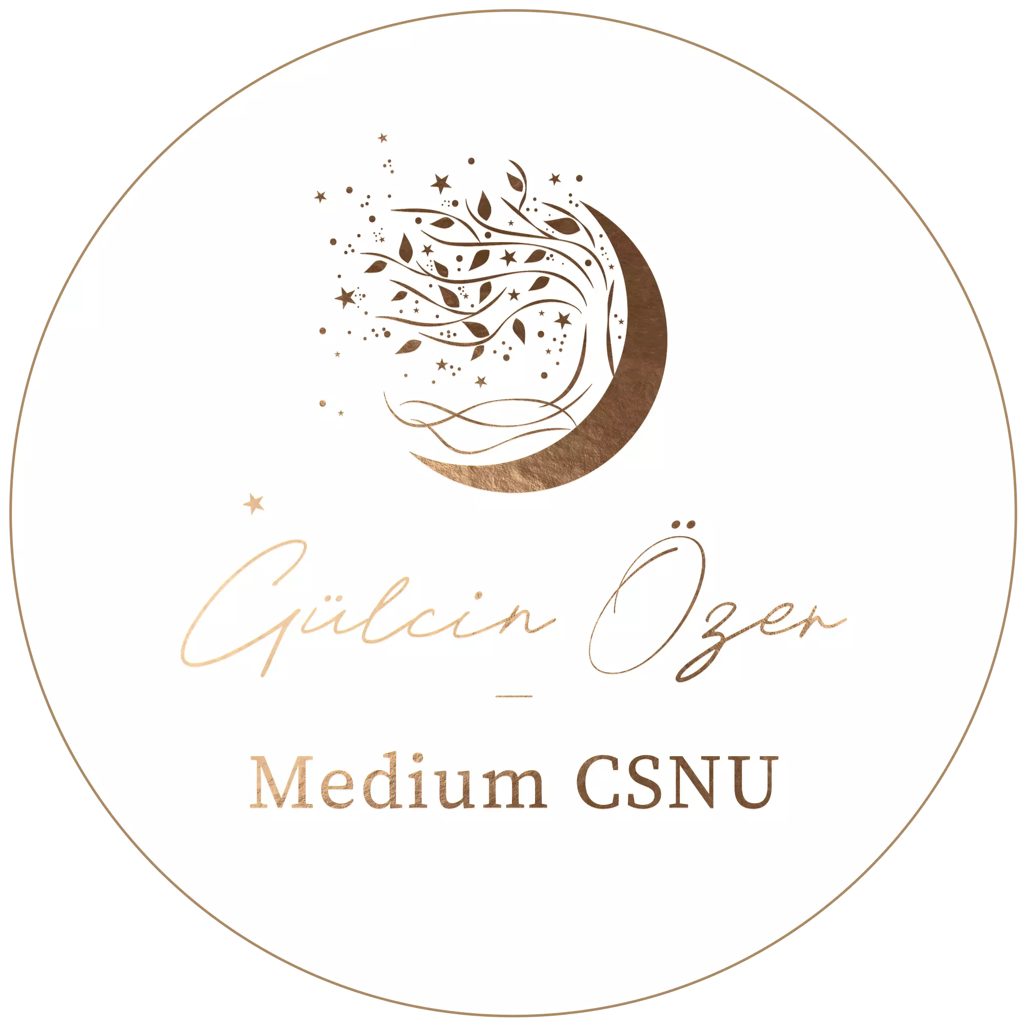 Medium Zürich Gülcin Özer CSNU